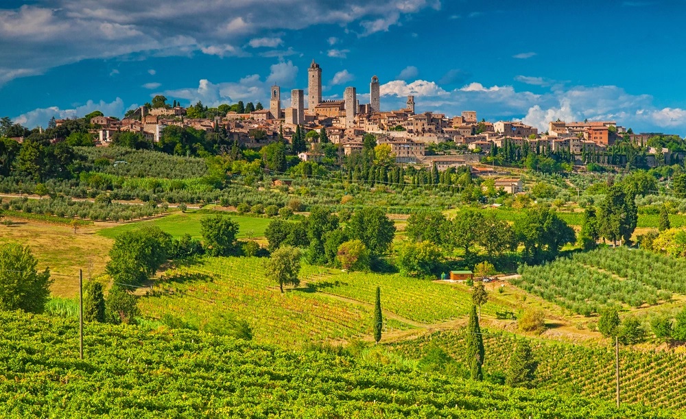 Florence wine school, Tuscan wine school: Educate your palate!