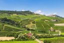 Featured image of Langhe vineyards panoramic view by Langa wine tour agency