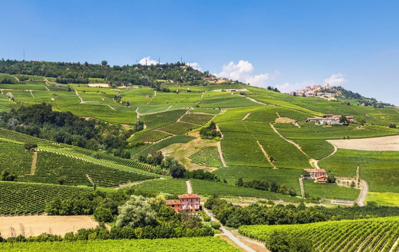 Featured image of Langhe vineyards panoramic view by Langa wine tour agency