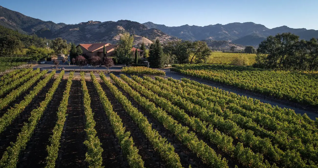 featured image of Bennett Lane Winery panoramic view