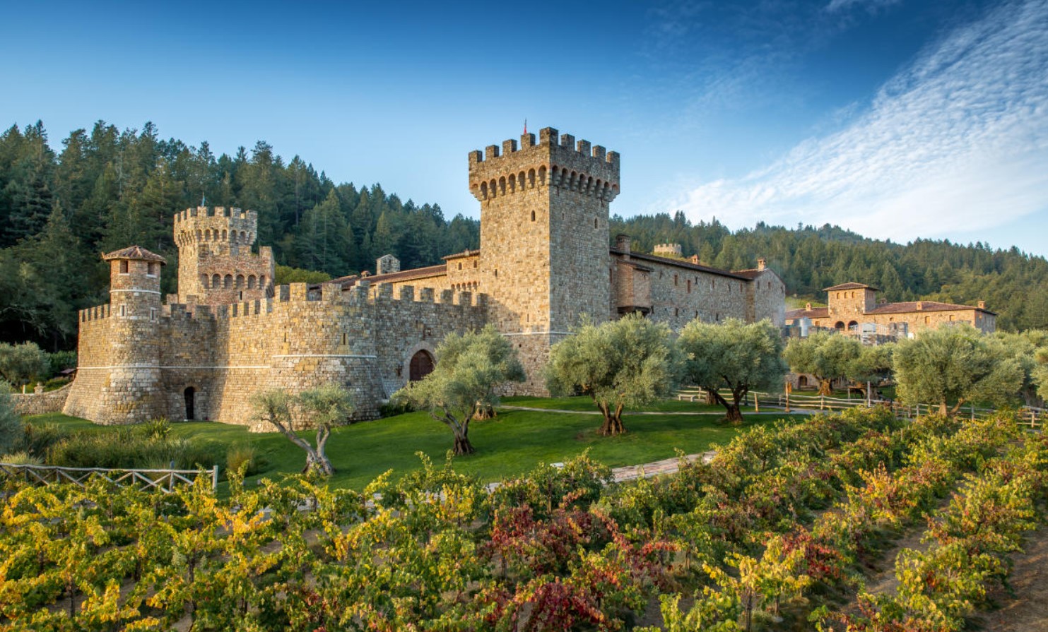 Castello di Amorosa outdoor panoramic view of the castle and vineyards