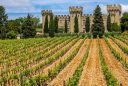 featured image of Hostellerie Château des Fines Roches vineyard and hotel view