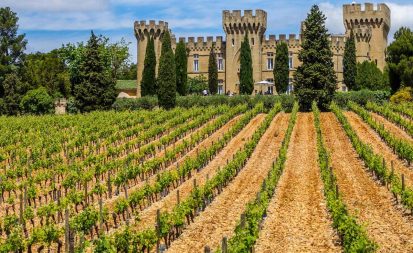 featured image of Hostellerie Château des Fines Roches vineyard and hotel view