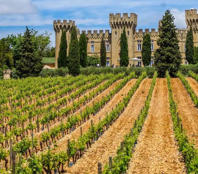 featured image of Hostellerie Château des Fines Roches vineyard and hotel view