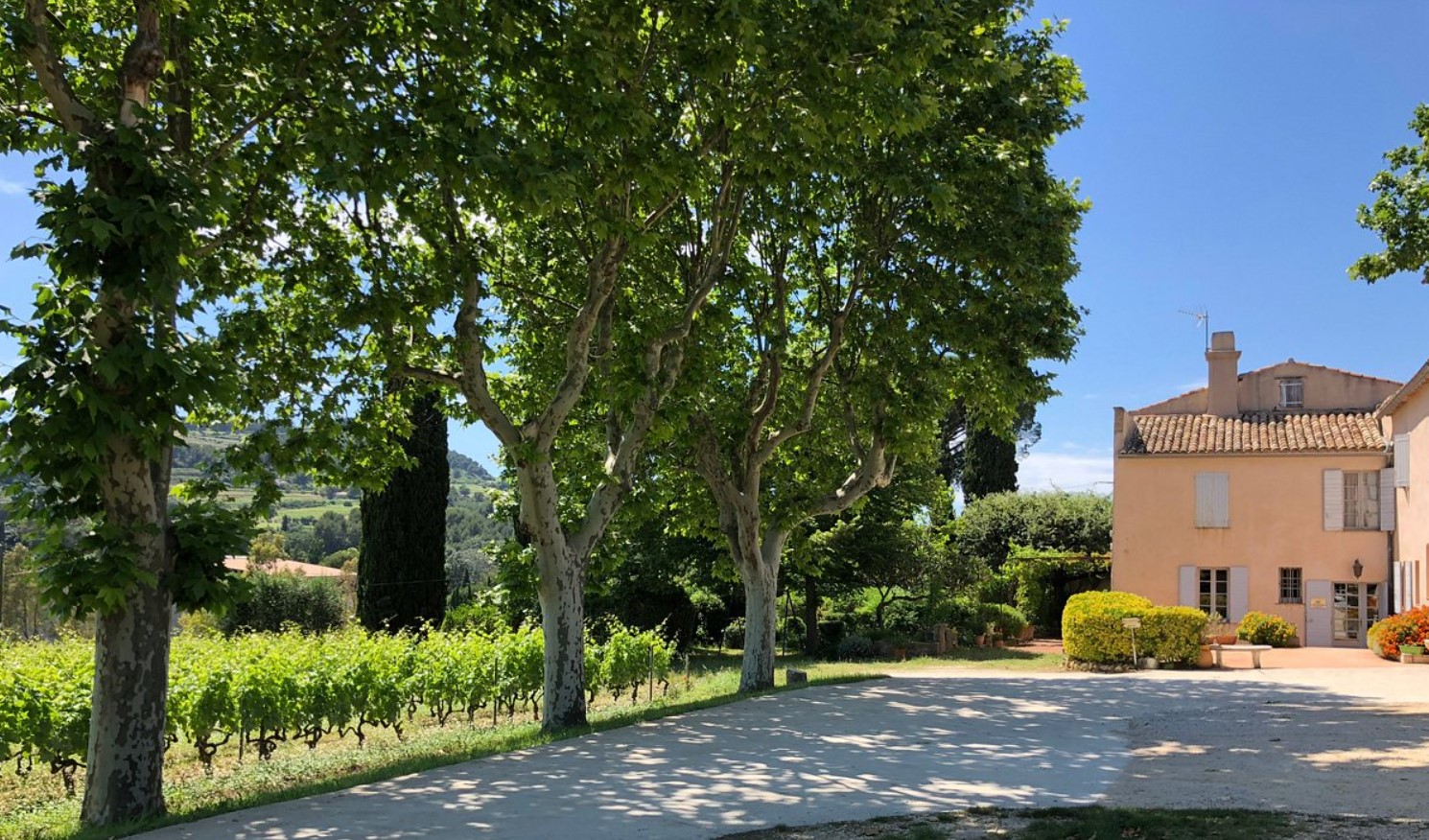 parking lot view of Domaine Tempier