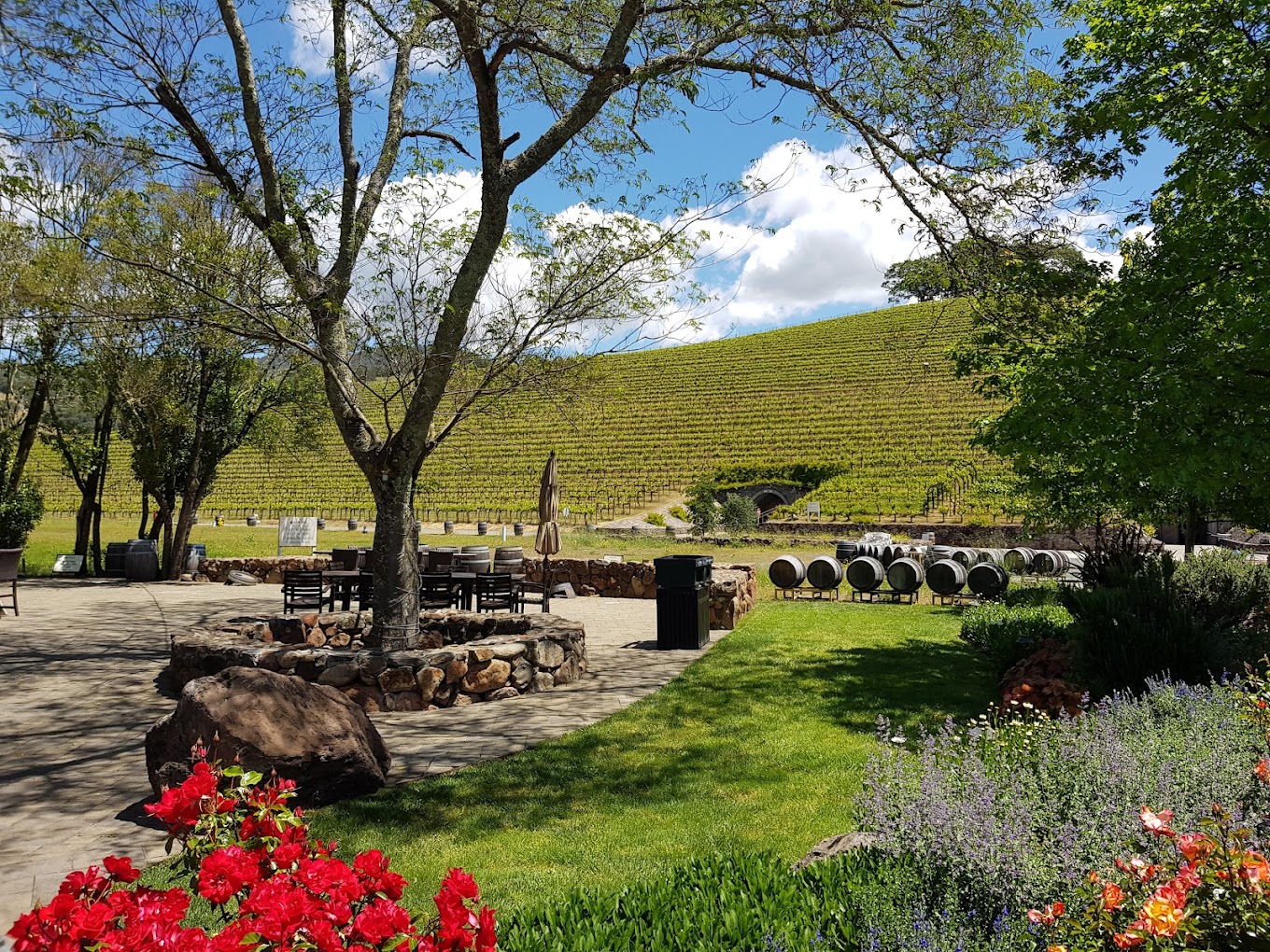 Top Sonoma Wineries with a View: A Must-Visit List