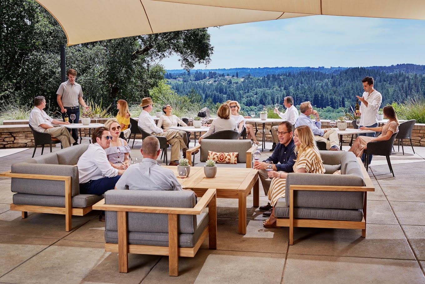 Top Sonoma Wineries With A View: A Must-Visit List