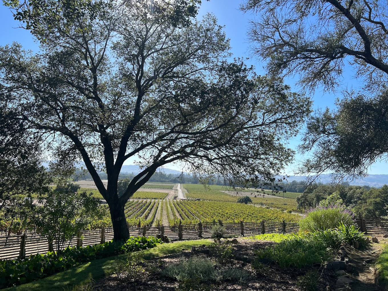 Top Sonoma Wineries with a View: A Must-Visit List