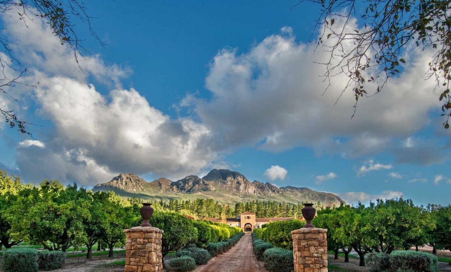 Outdoor view of the Waterford Estate