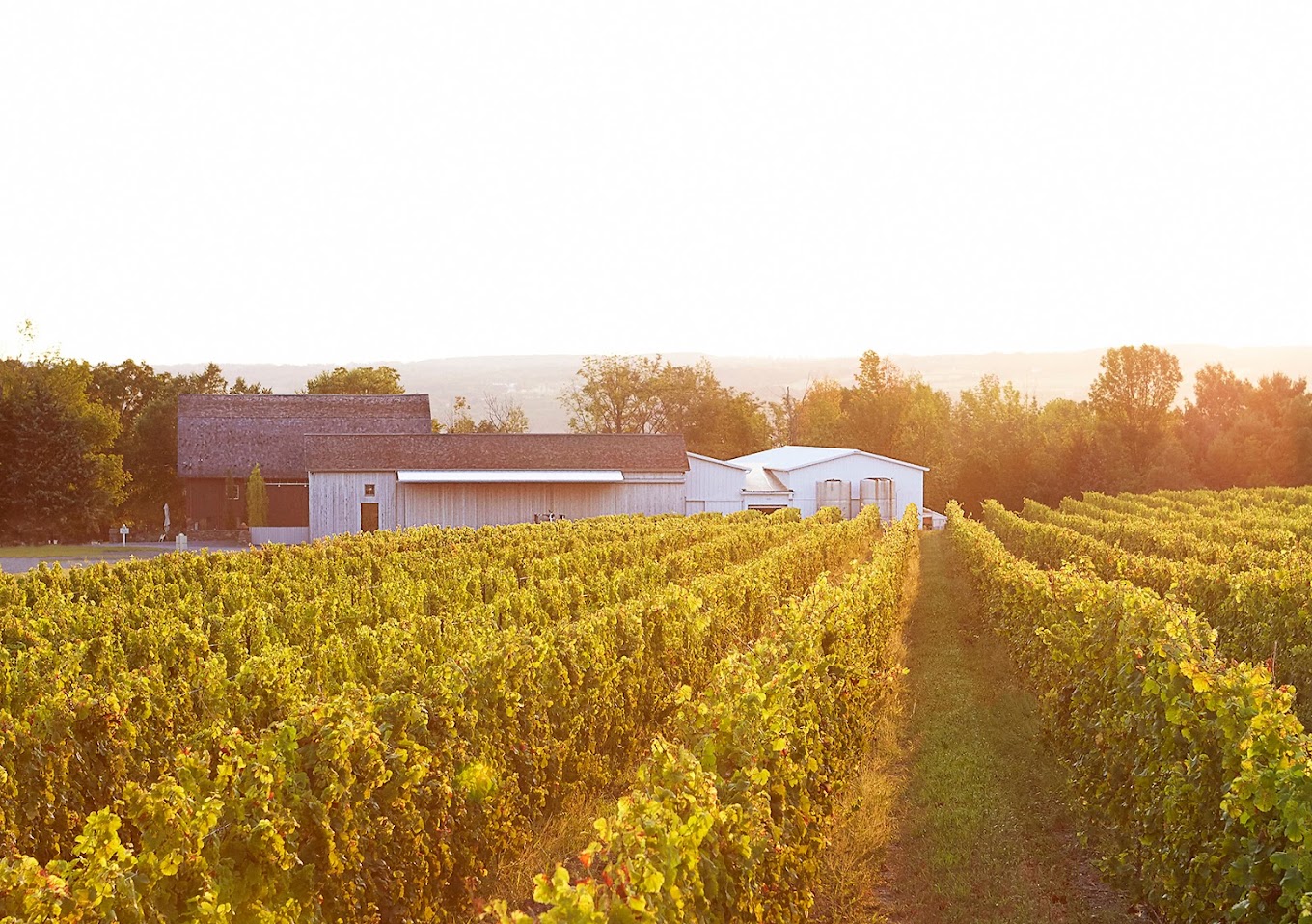 Hermann J. Wiemer Vineyard outdoor view of the winery from the vineyards