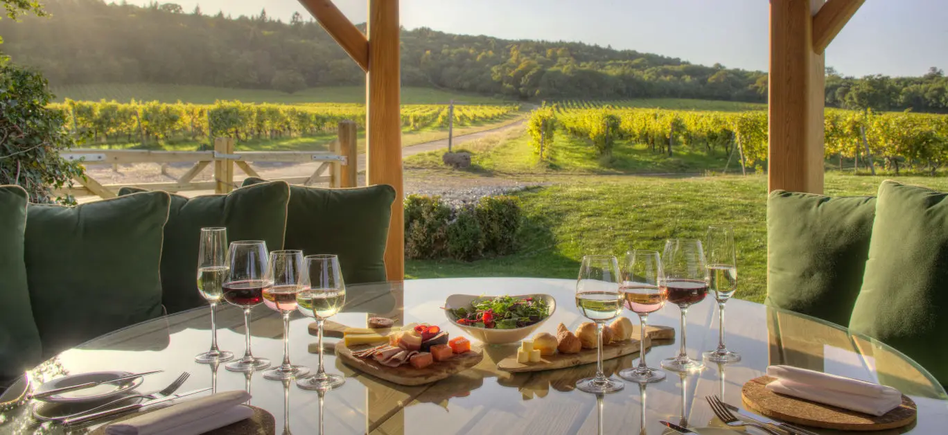 Denbies Wine Estate terrace where wine is served with platter with a panoramic vineyard view