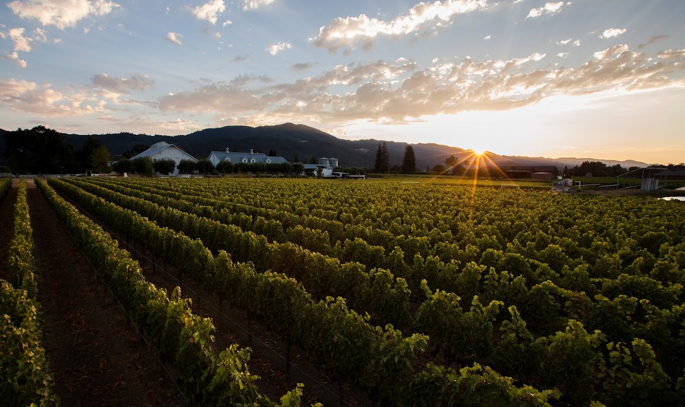 Panoramic view of Nickel & Nickel winery and vineyards