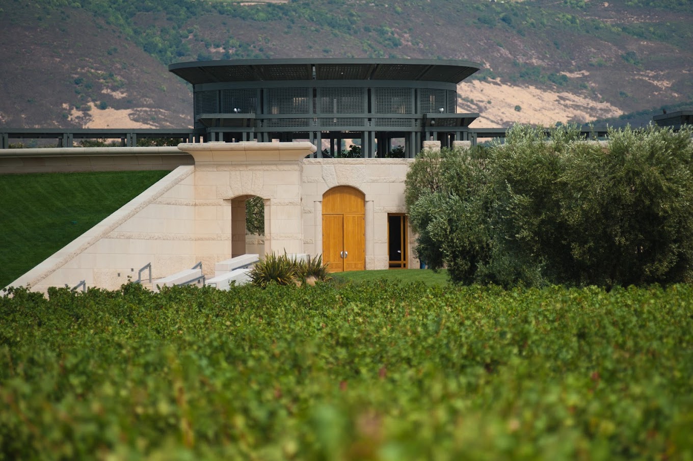 Opus One Winery and vineyards outdoor view