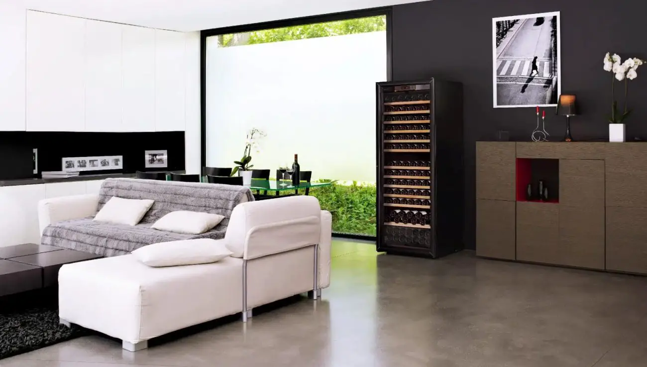 featured image of EuroCave E-Pure-L wine fridge in living room setting