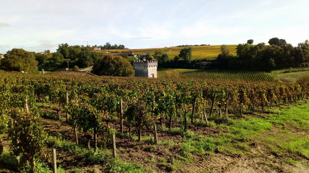 Featured image by blancalml from Pixabay, Saint Emilion vineyard view