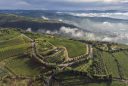 featured image of Allegrini Valpolicella panoramic view