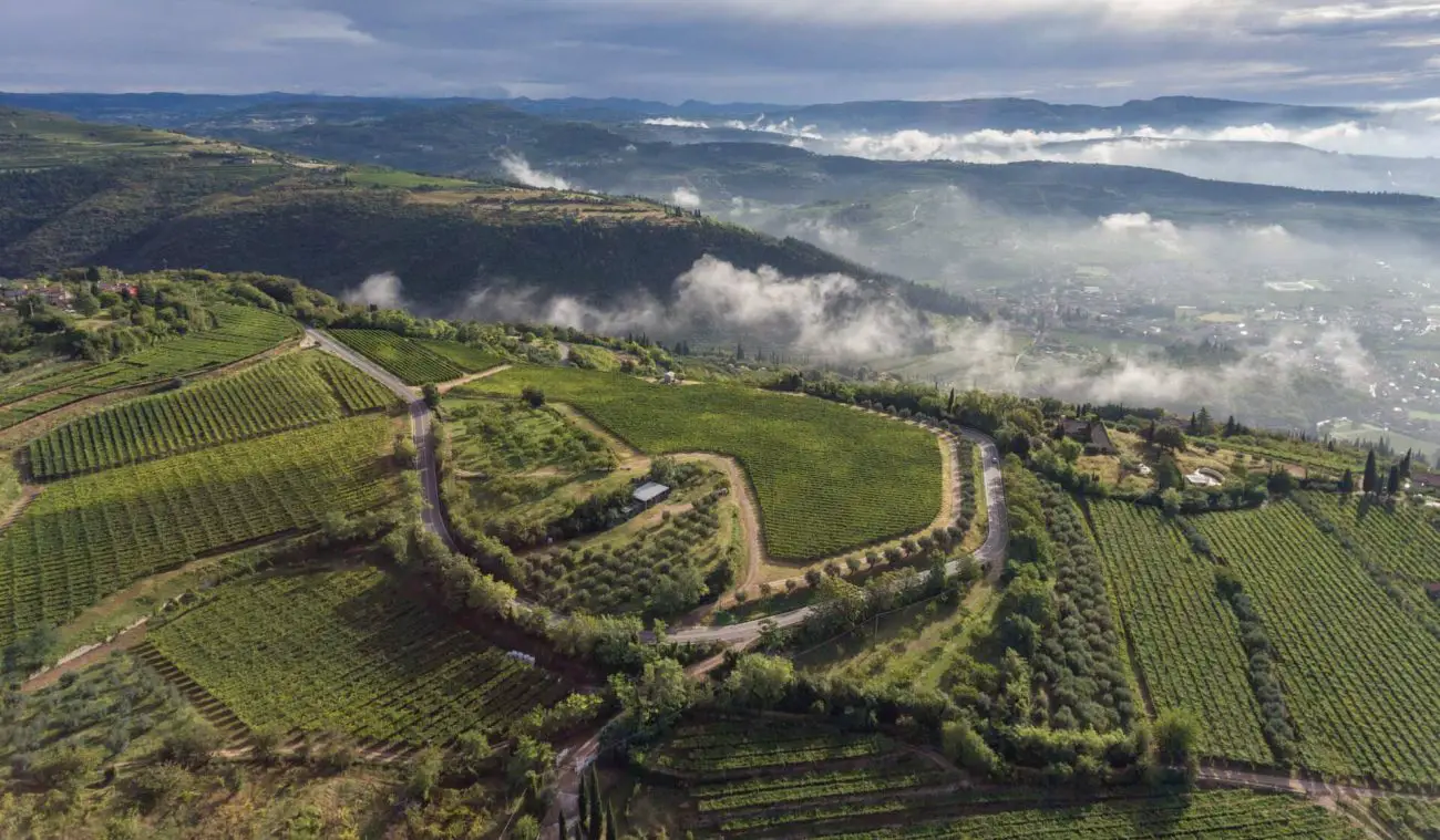 featured image of Allegrini Valpolicella panoramic view