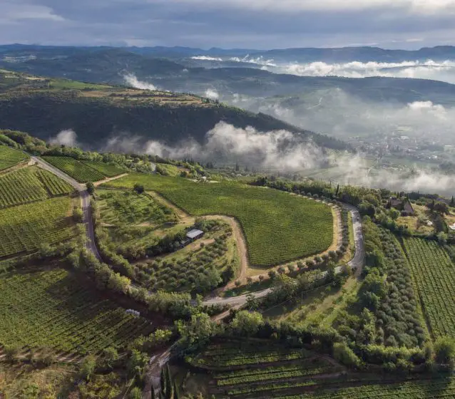 featured image of Allegrini Valpolicella panoramic view