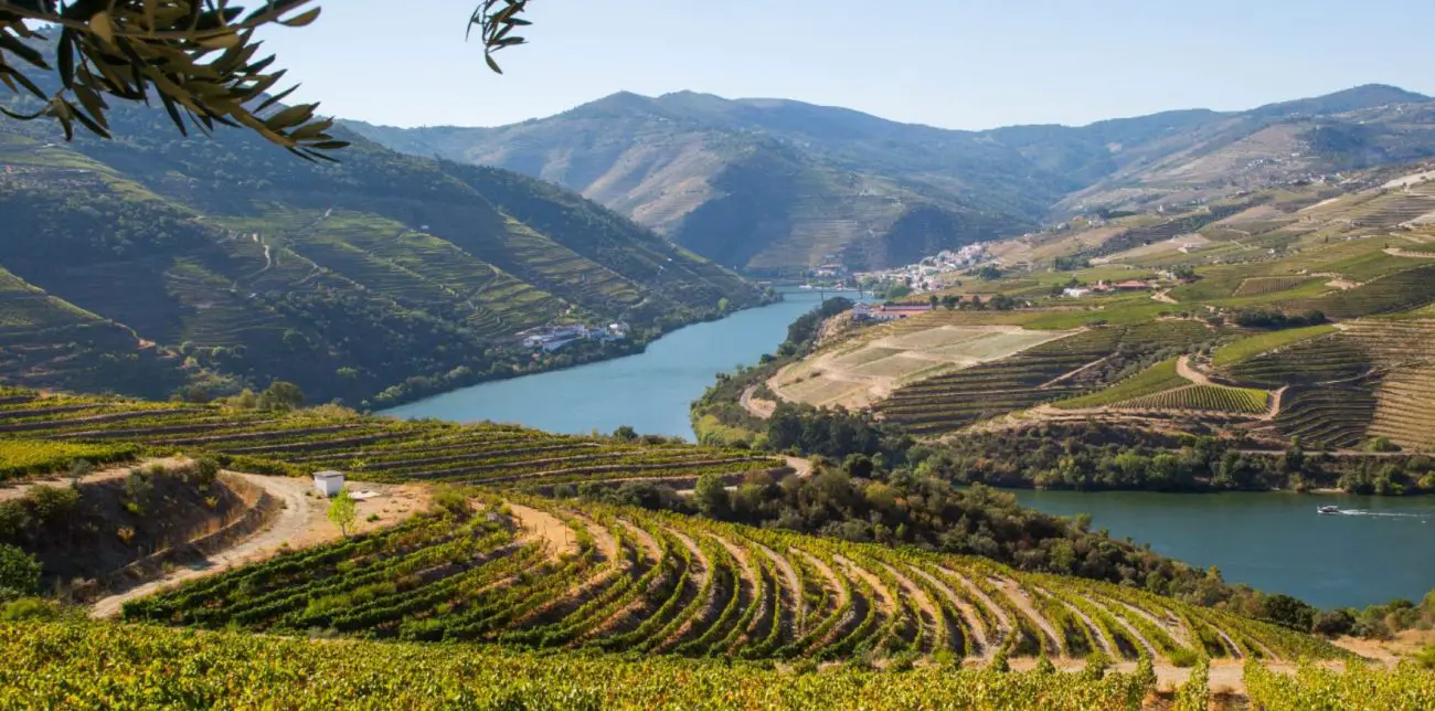 featured image Quinta de Ventozelo panoramic Douro view